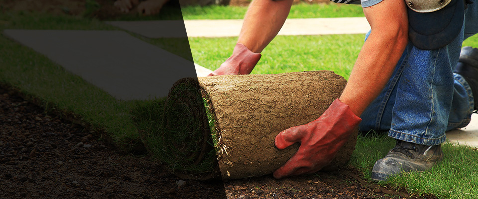 Long Prairie Landscapers